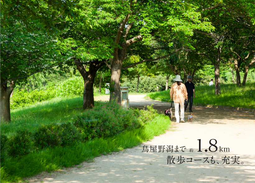 slide3.png